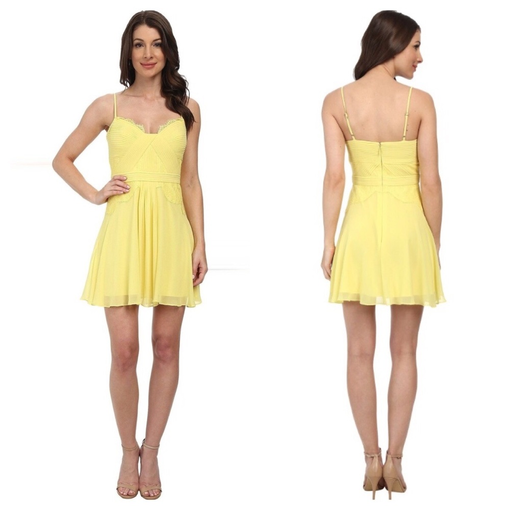 BCBG Max Azria Katalina dress